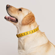 Star Trek: The Original Series Command Pet Collar