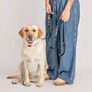 Star Trek: The Original Series Logo Pet Leash