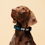 Star Trek: The Original Series Logo Pet Collar