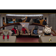 Star Trek: The Next Generation Crew Cats Fleece Blanket