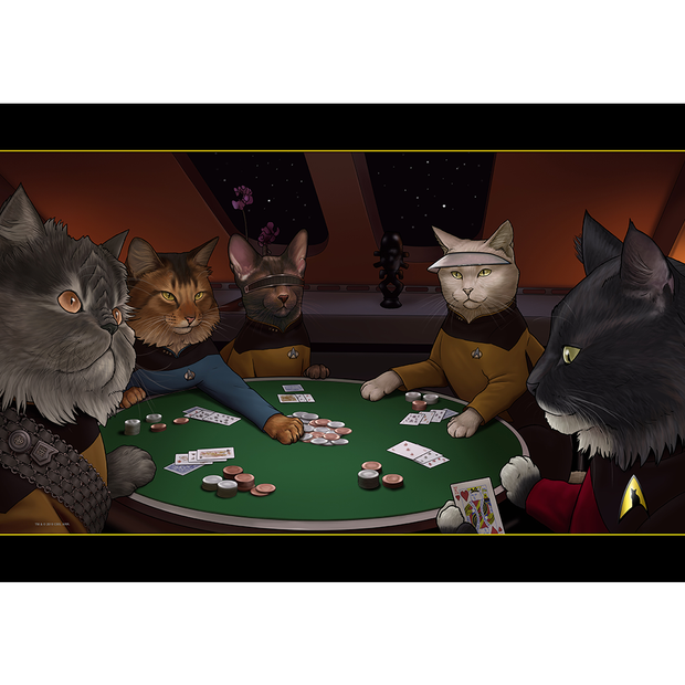 Next cat blanket clearance